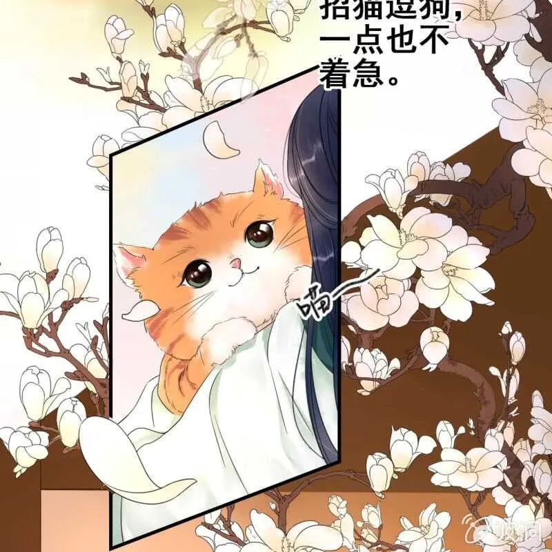 第66话 第5页