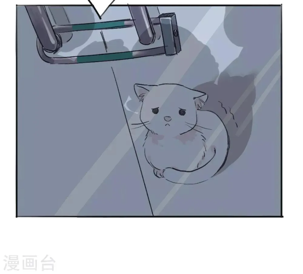 全一话 第5页