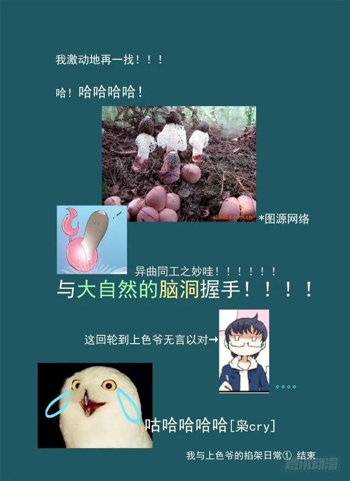 一章06 山灵袭阵 第18页