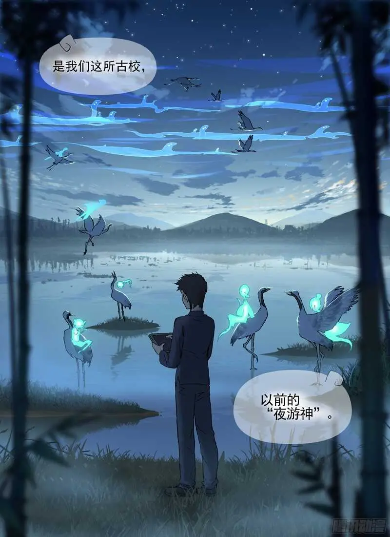 三章19 不果之花【2】 第13页
