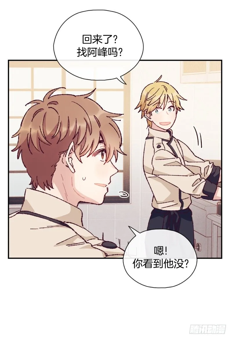 制定菜单 第9页