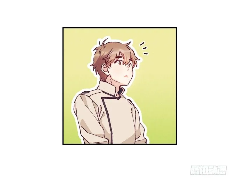 制定菜单 第19页