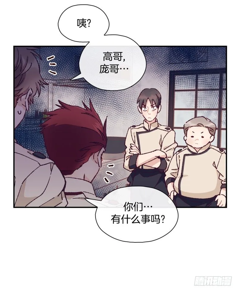 制定菜单 第28页