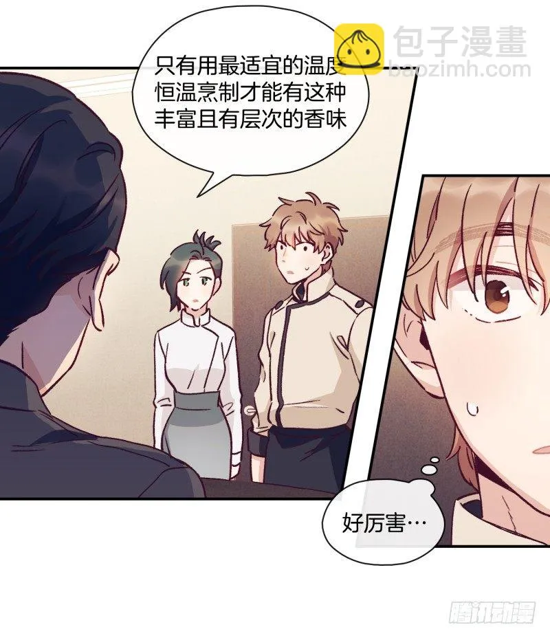 标准化没那么简单 第27页