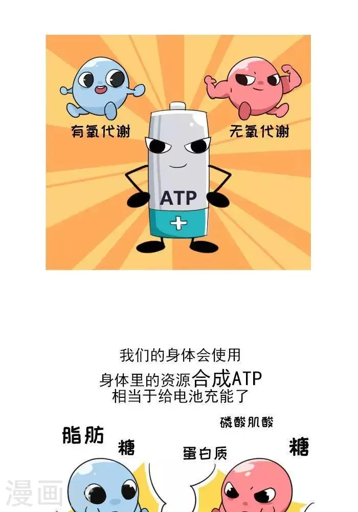 第7话 ATP是什么？ 第7页