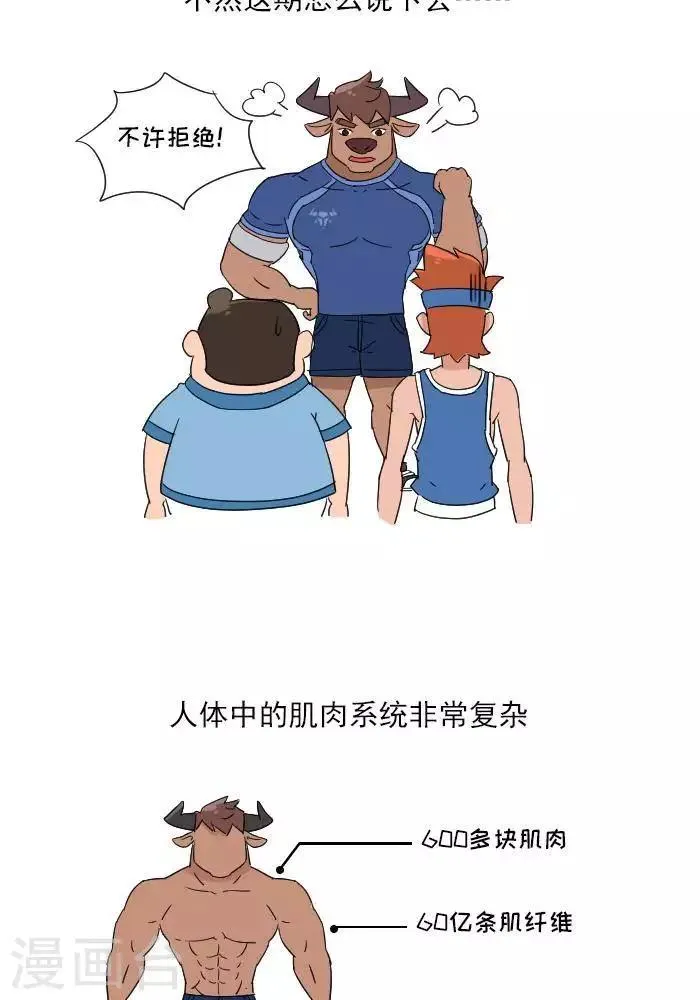 第11话 你对肌肉多了解？ 第3页