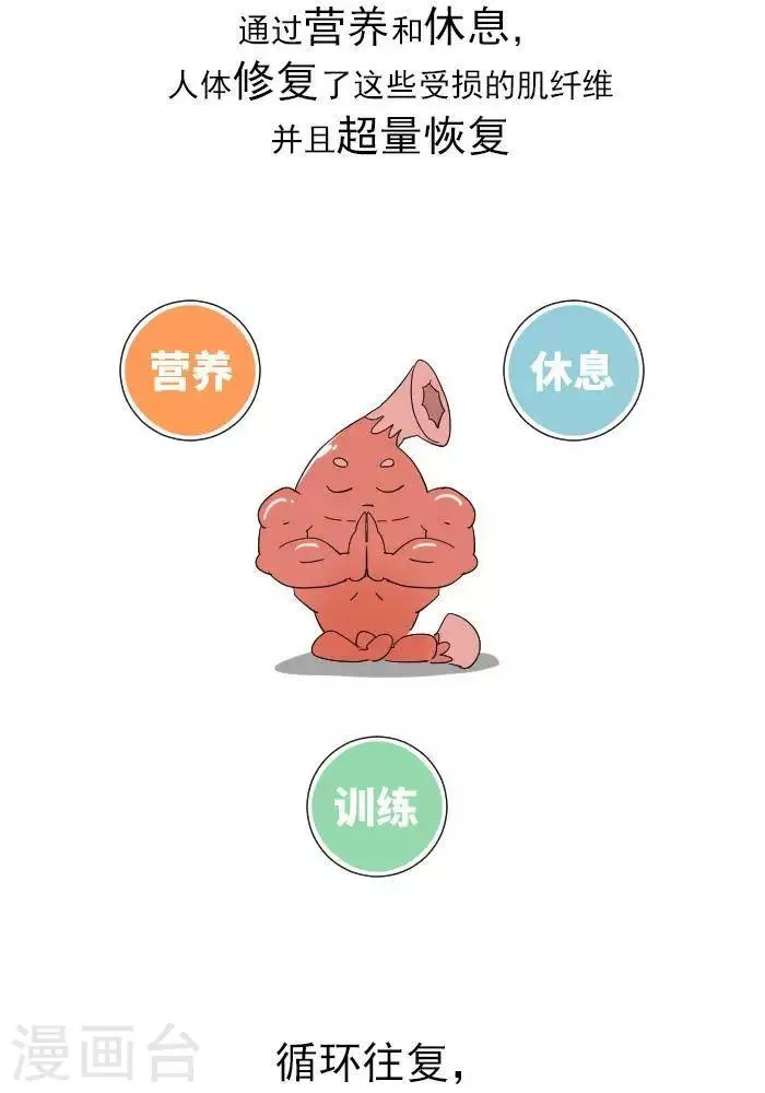 第11话 你对肌肉多了解？ 第16页