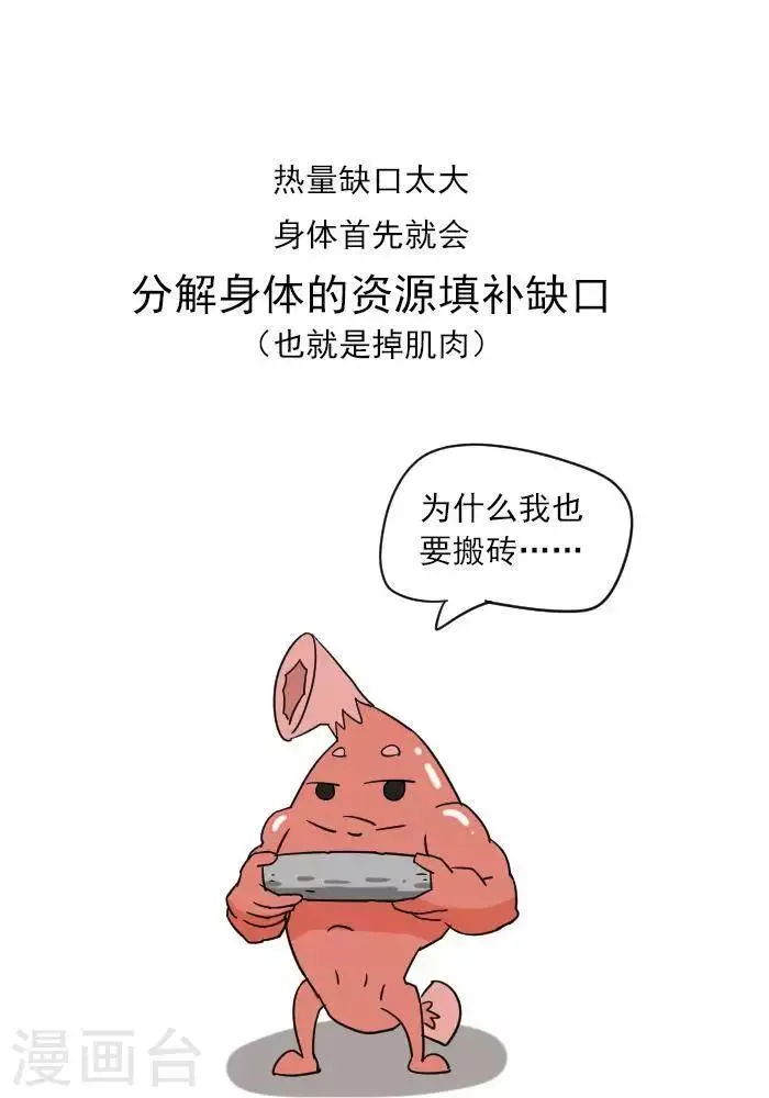 第12话 肌肉，减肥的好帮手！ 第13页