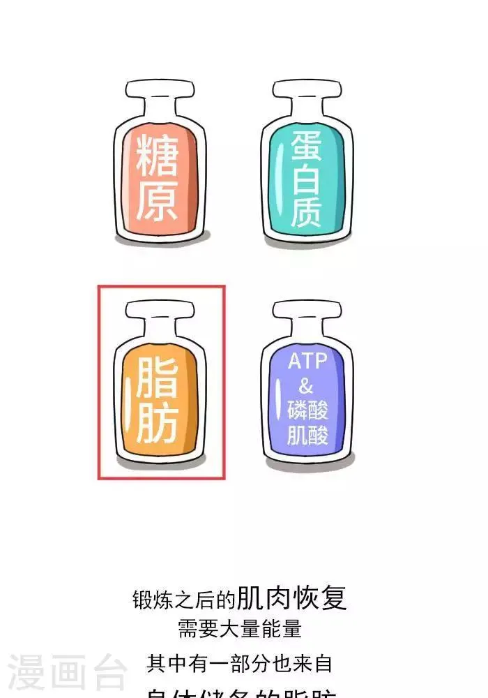 第12话 肌肉，减肥的好帮手！ 第17页