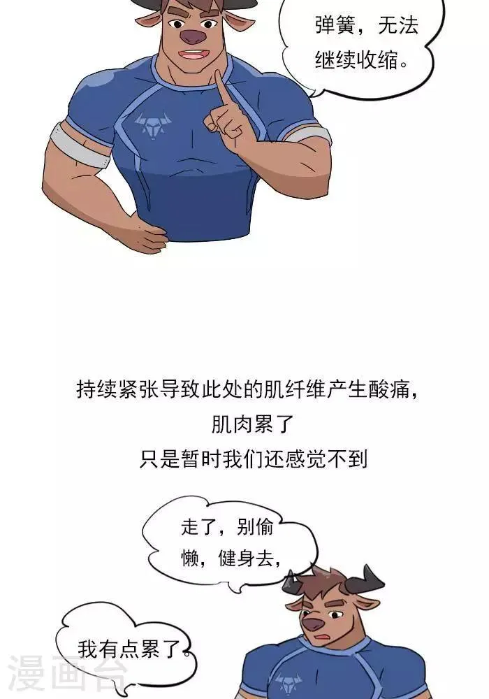 第20话 激痛点，肌肉劳损你知道吗？ 第13页