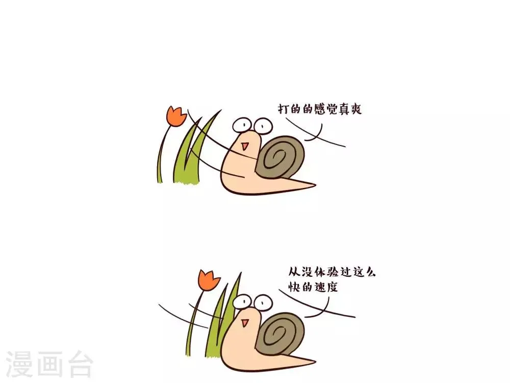 第17话 乌龟的士 第1页