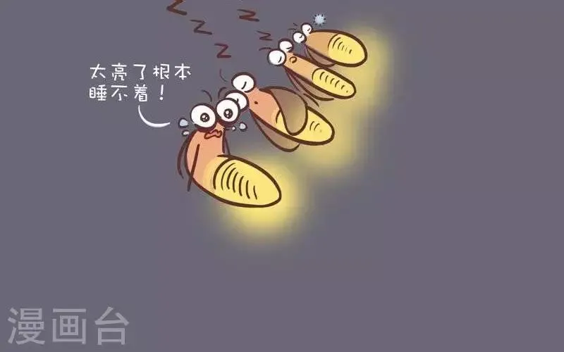 第45话 失眠 第2页