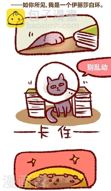 第22话 第2页