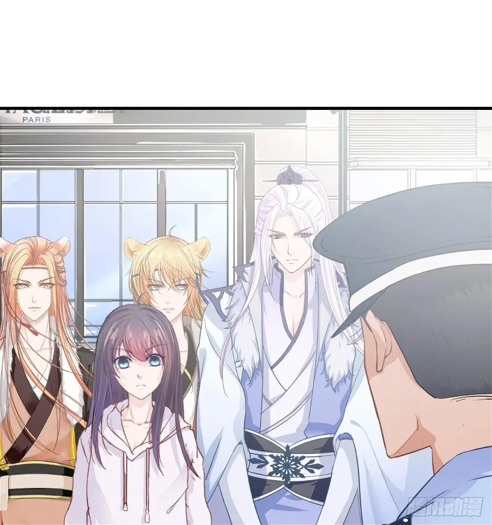 一代妖王的人类社会初体验 第17页