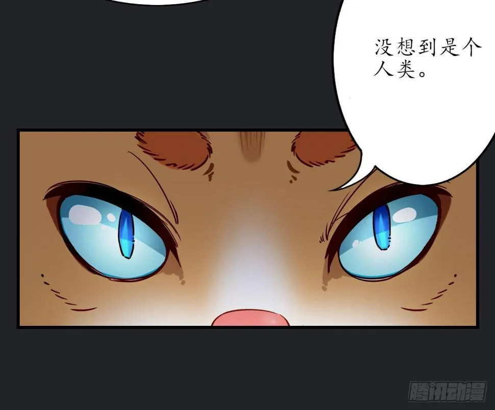 白玉堂的小愿望 第46页
