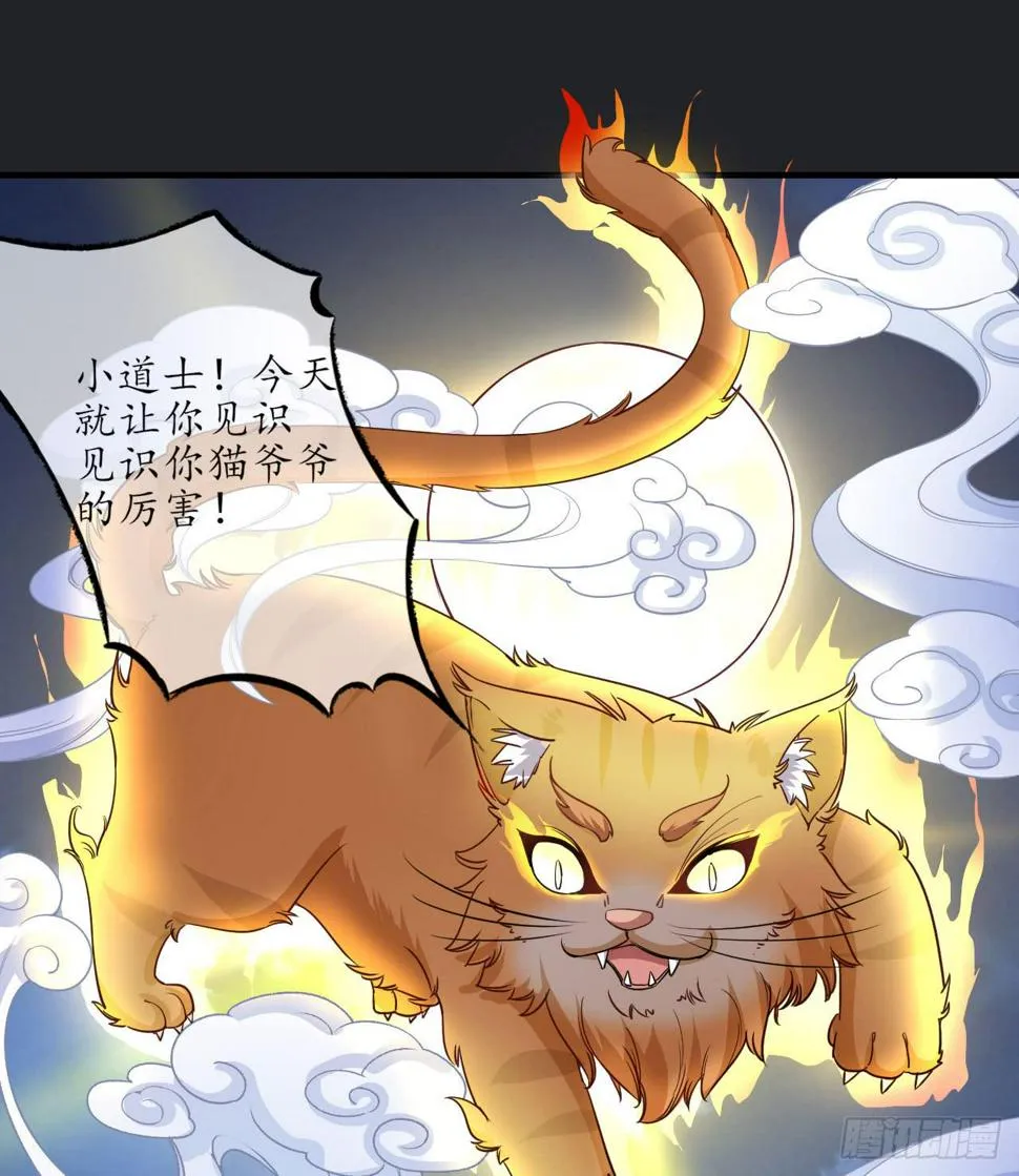 白玉堂的小愿望 第68页
