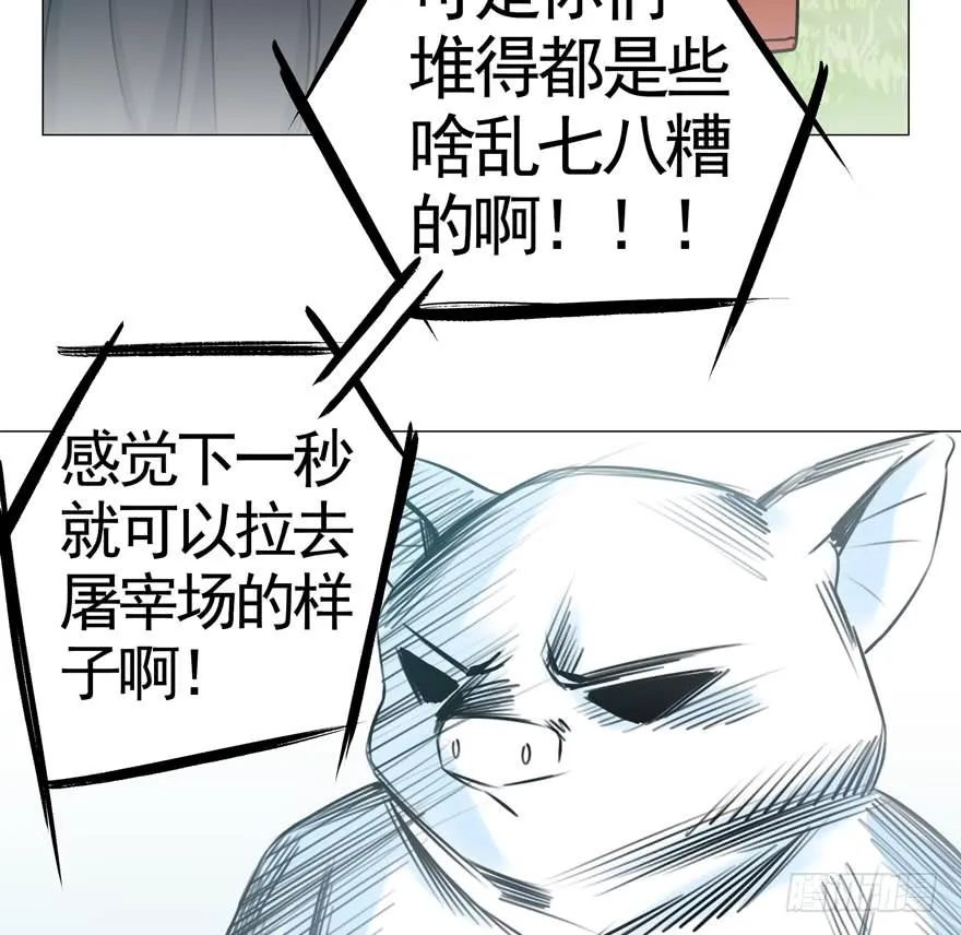 番外：猪年特辑 第9页