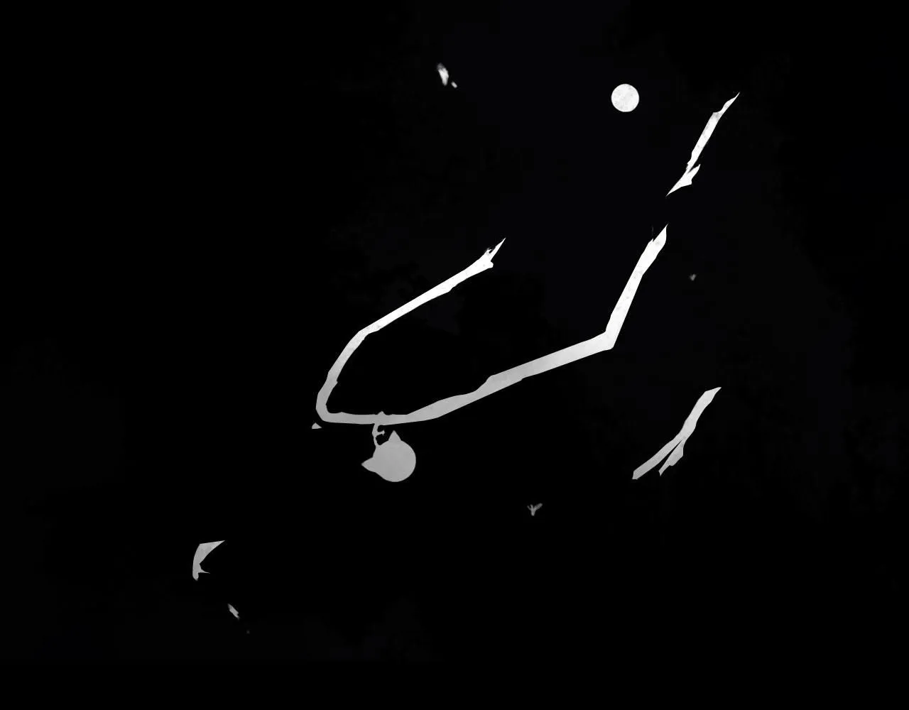 023——血 第89页