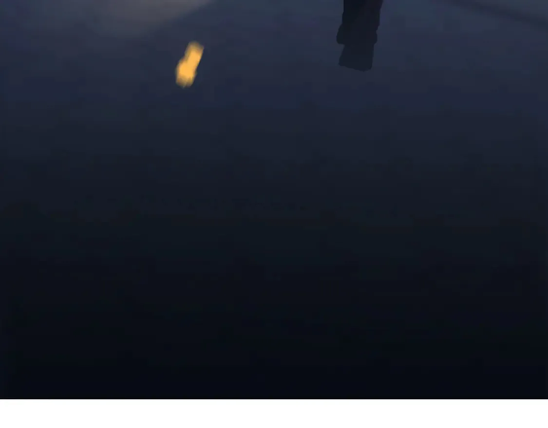 033——她来了 第111页