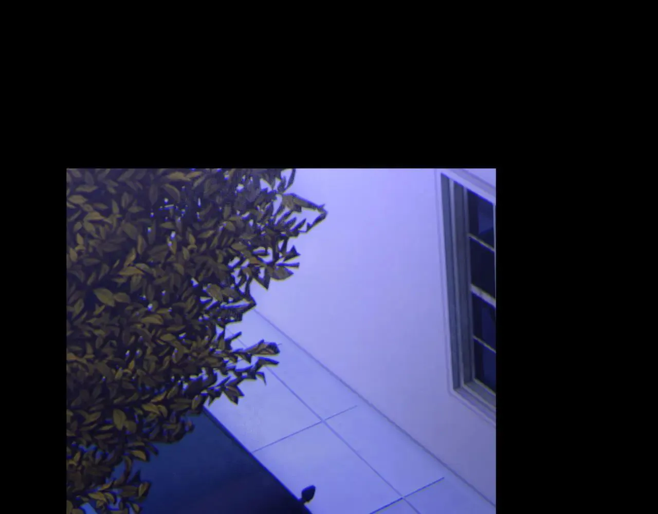 046——看穿 第37页