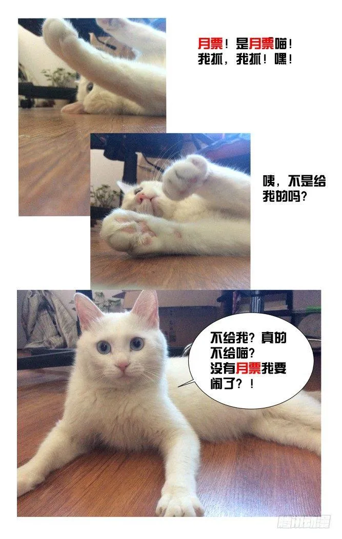 8.不如索性当个女娃！ 第20页