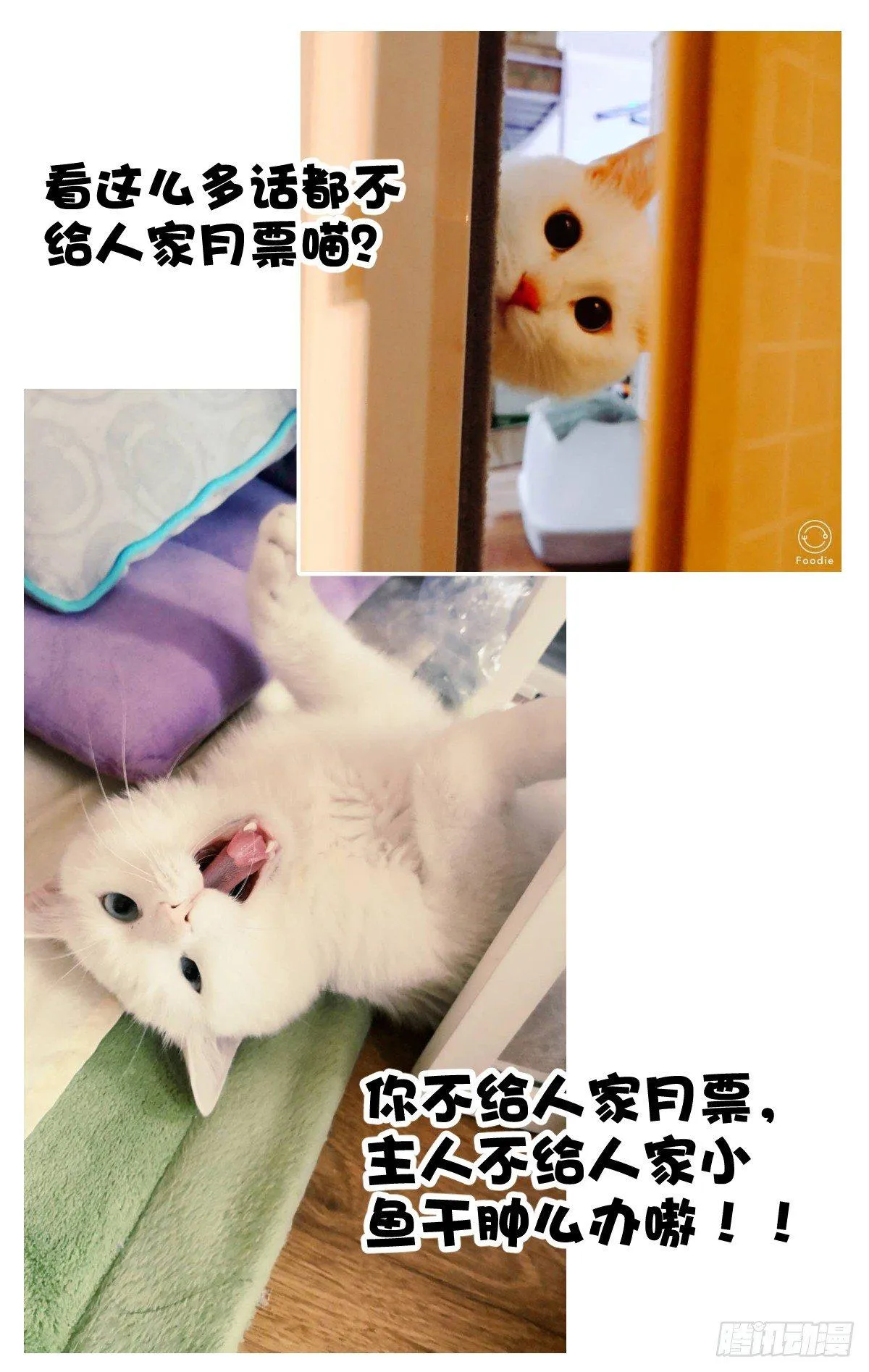 9.男扮男装萌混过关！ 第19页