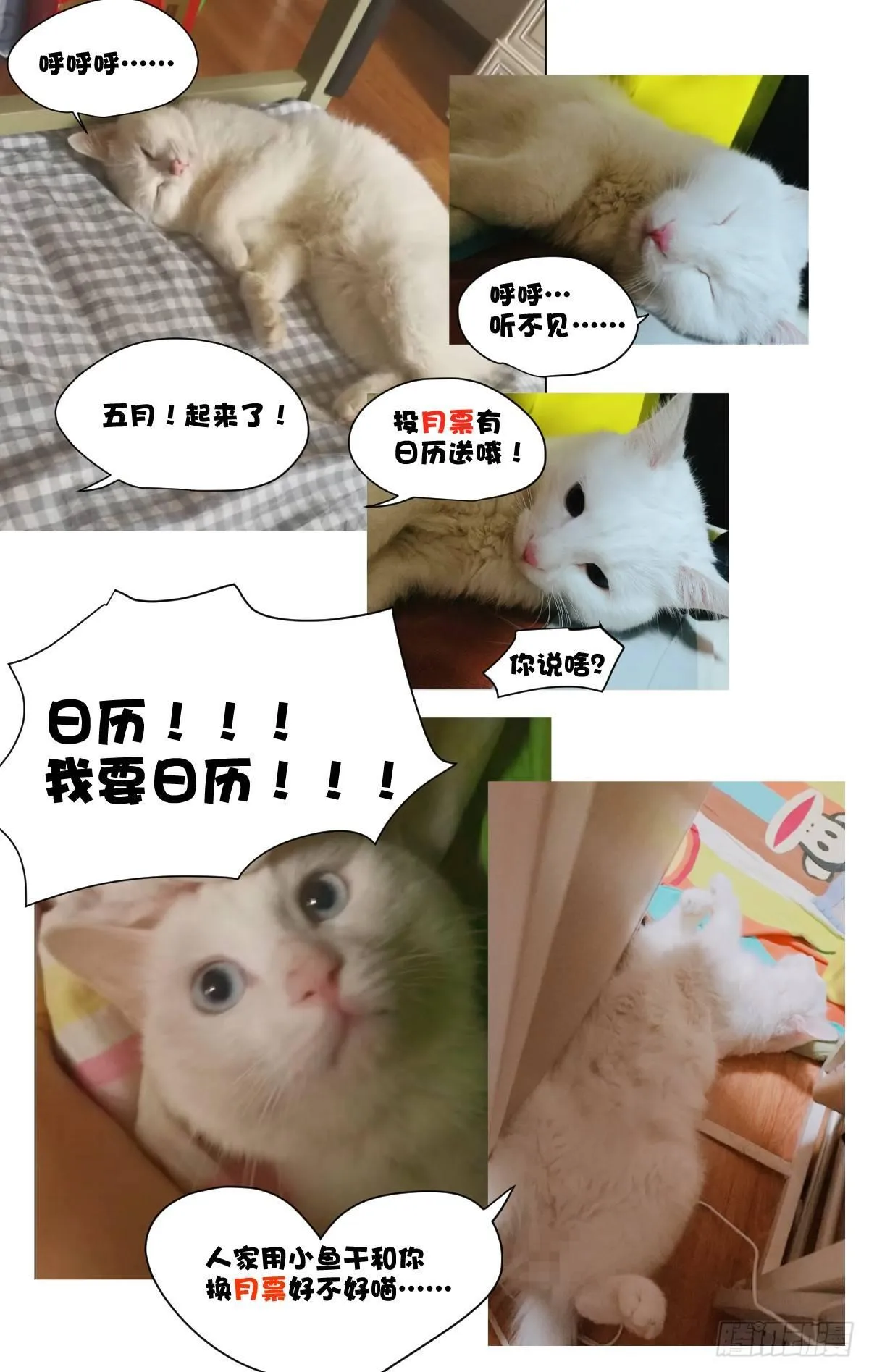 10.人生完整夫复何求？ 第19页