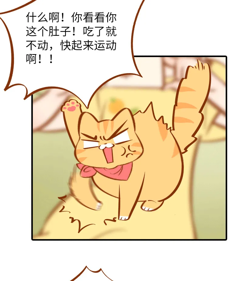 第1话 肚皮肉大作战 第6页
