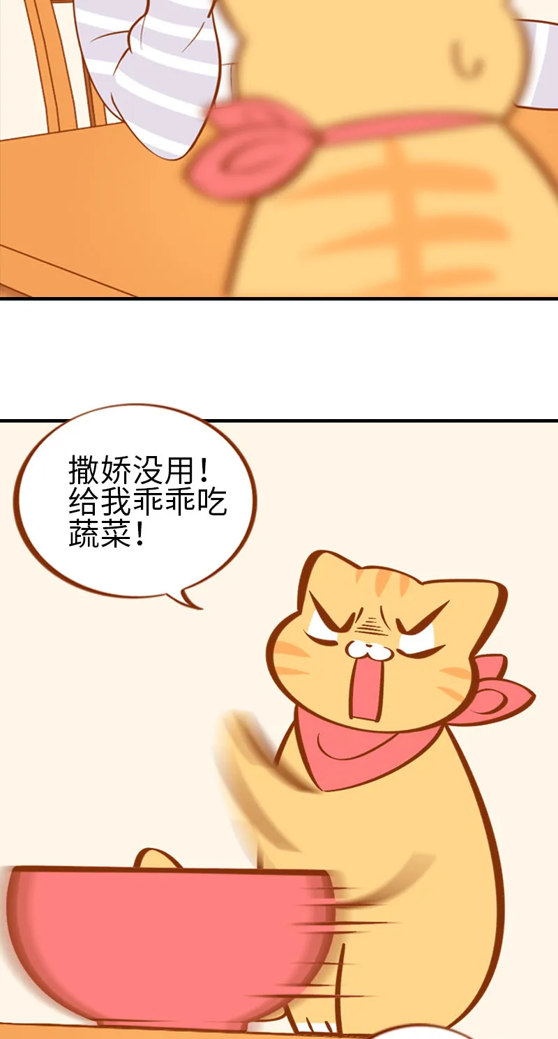 第2话 不是我要吃肉是你吃蔬菜 第10页