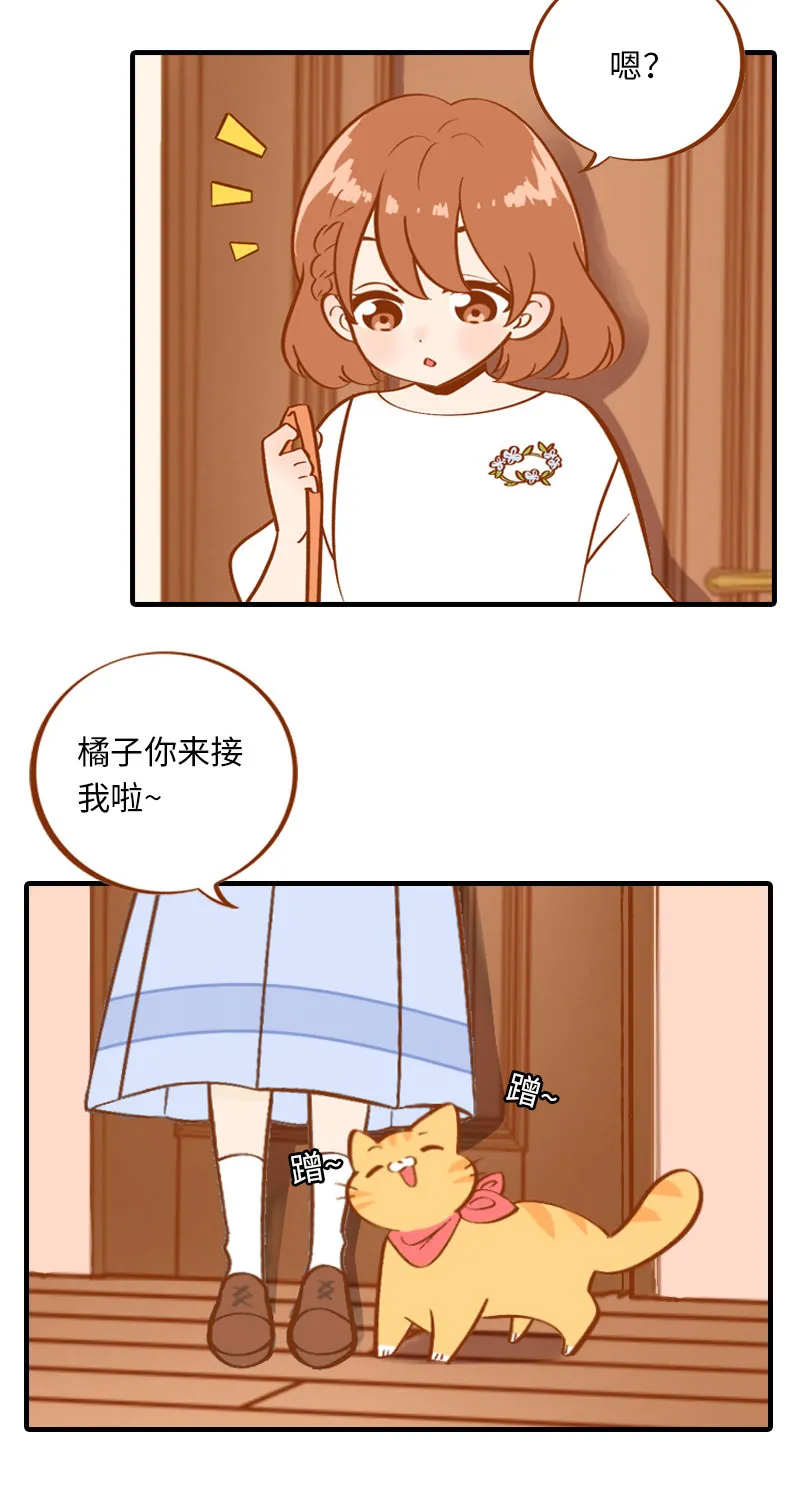 第3话 不是我要吃肉是你吃蔬菜 第3页