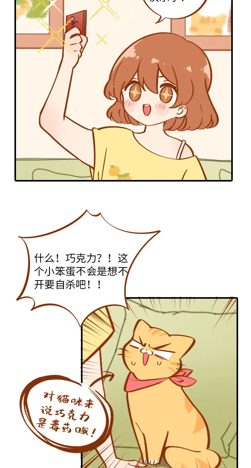 第3话 不是我要吃肉是你吃蔬菜 第9页