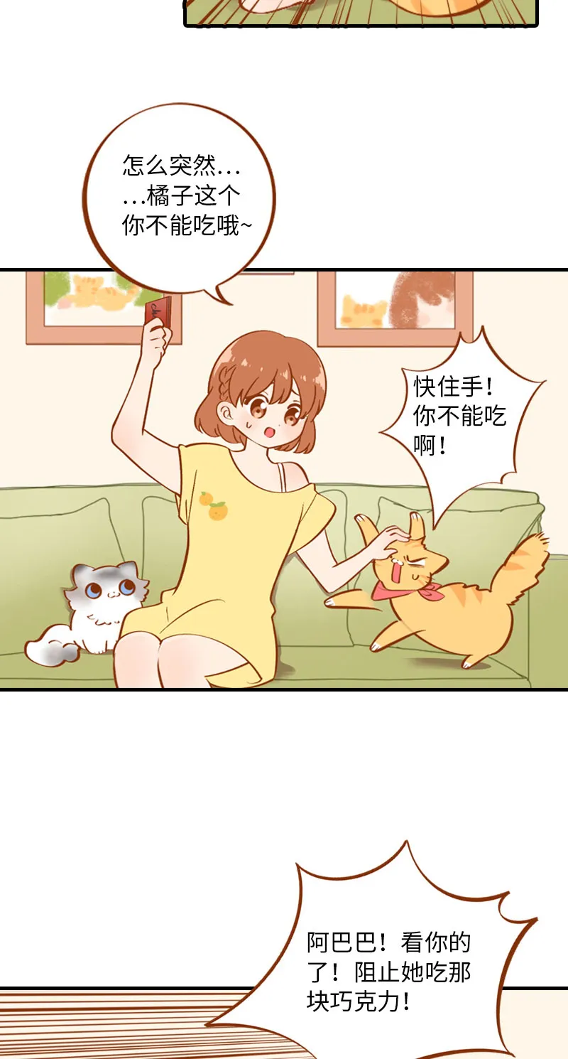 第3话 不是我要吃肉是你吃蔬菜 第10页