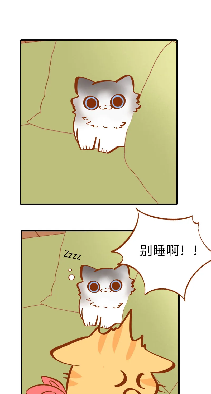 第3话 不是我要吃肉是你吃蔬菜 第12页