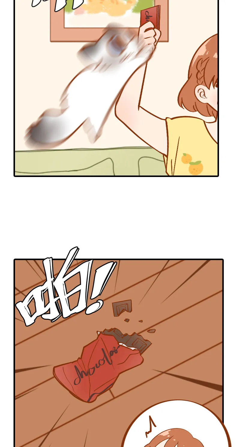 第3话 不是我要吃肉是你吃蔬菜 第14页