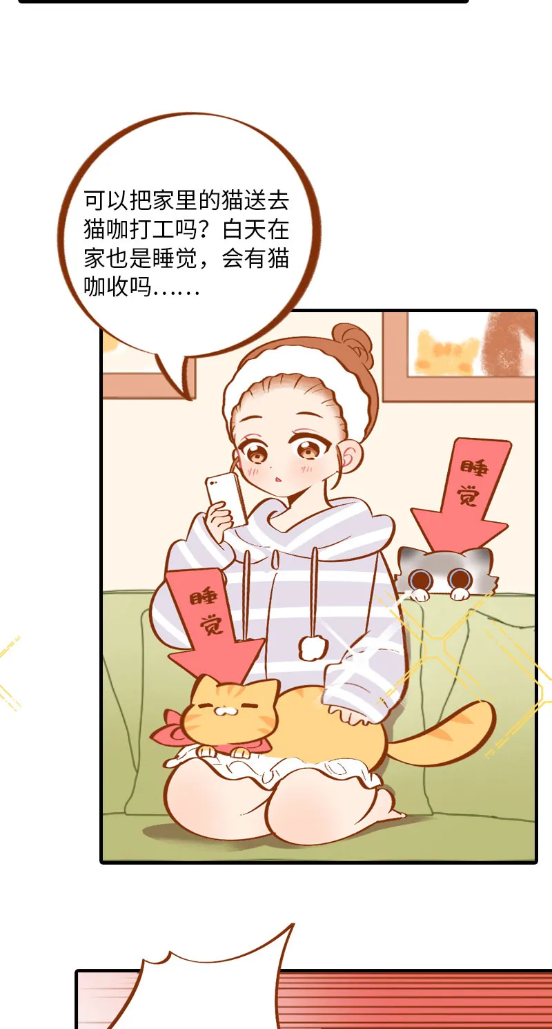 第4话 差点去猫咖打工 第3页