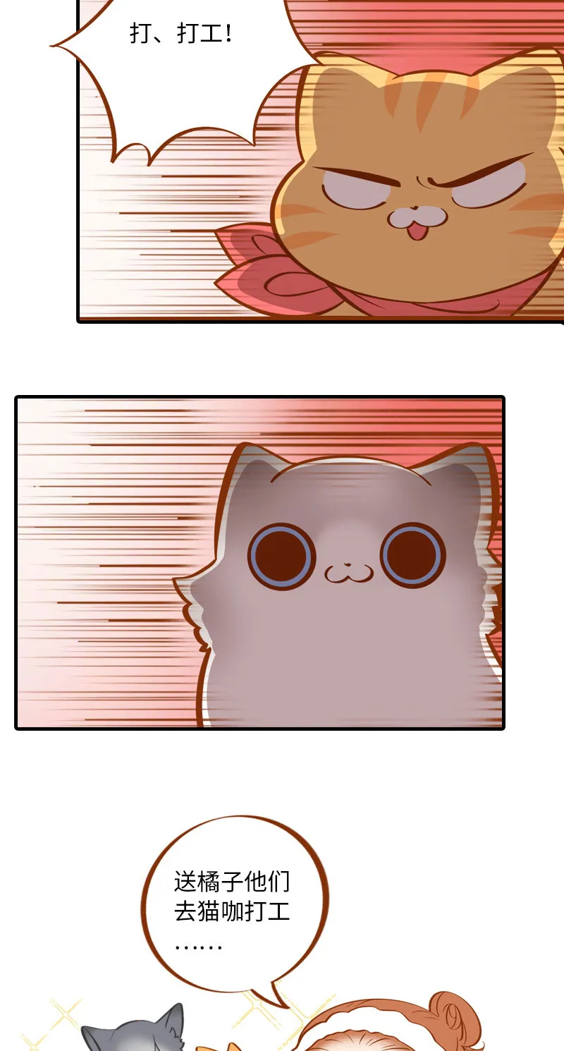 第4话 差点去猫咖打工 第4页