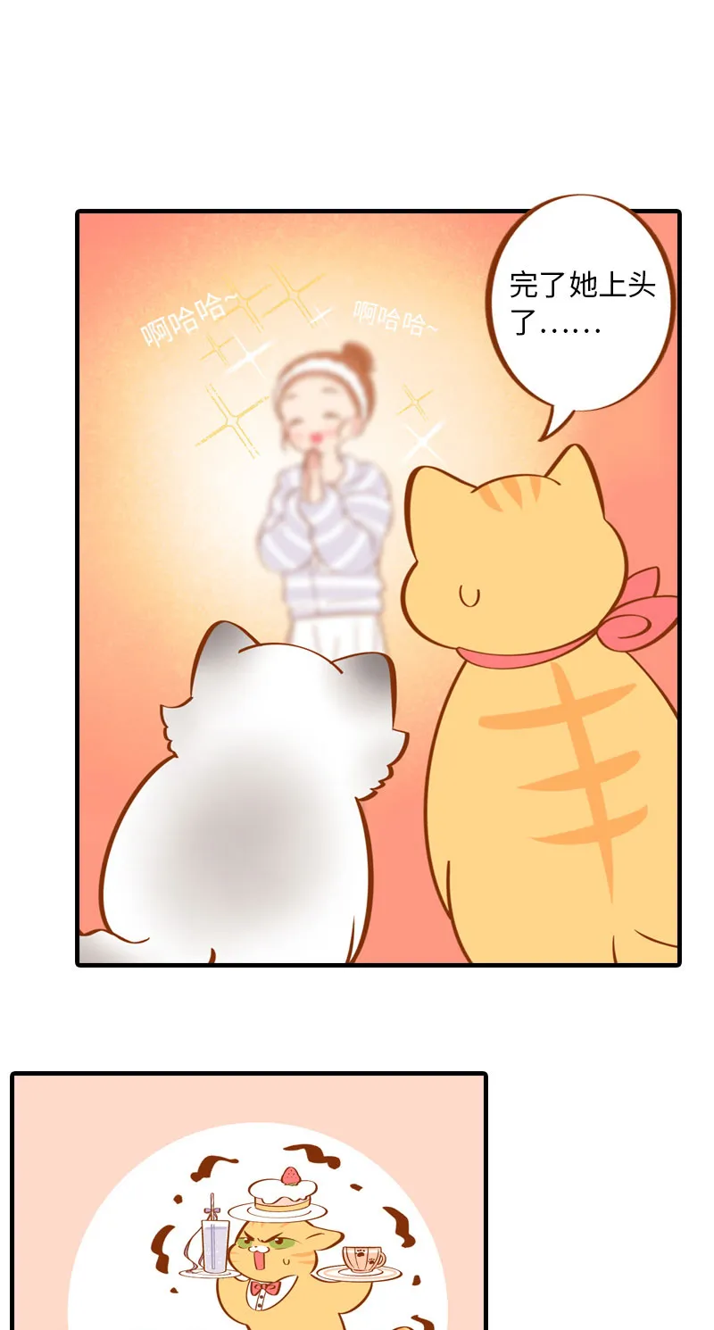 第4话 差点去猫咖打工 第7页