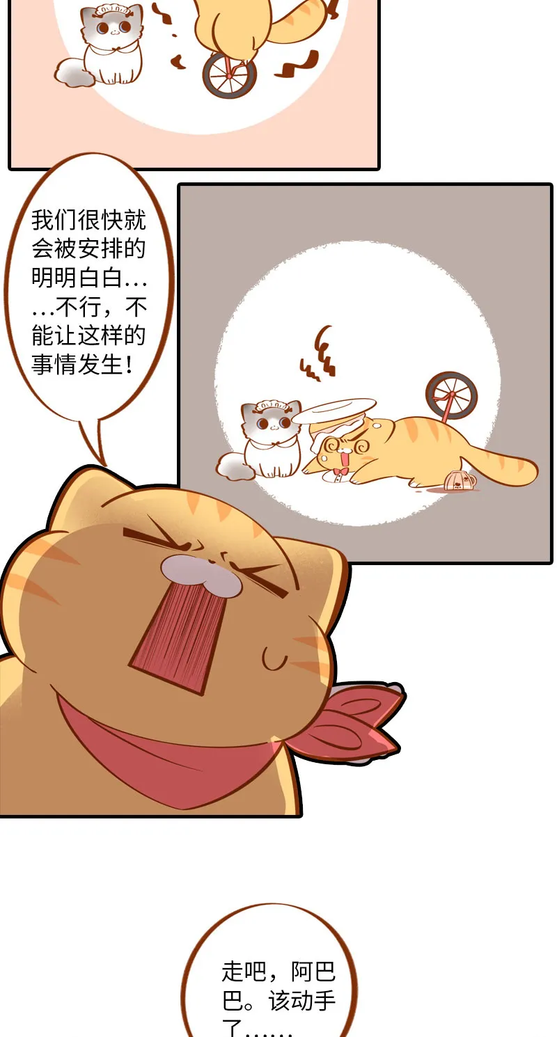 第4话 差点去猫咖打工 第8页