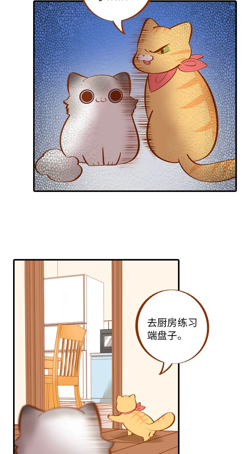 第4话 差点去猫咖打工 第9页