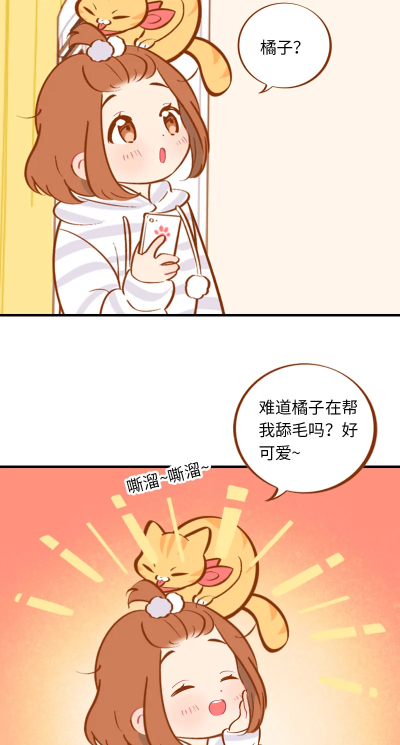 第6话 Tony橘开始洗头 第8页