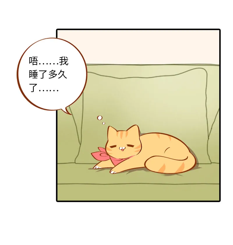 第6话 Tony橘开始洗头 第11页