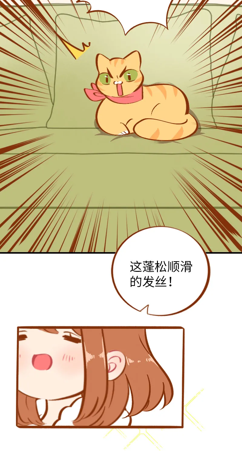 第6话 Tony橘开始洗头 第13页