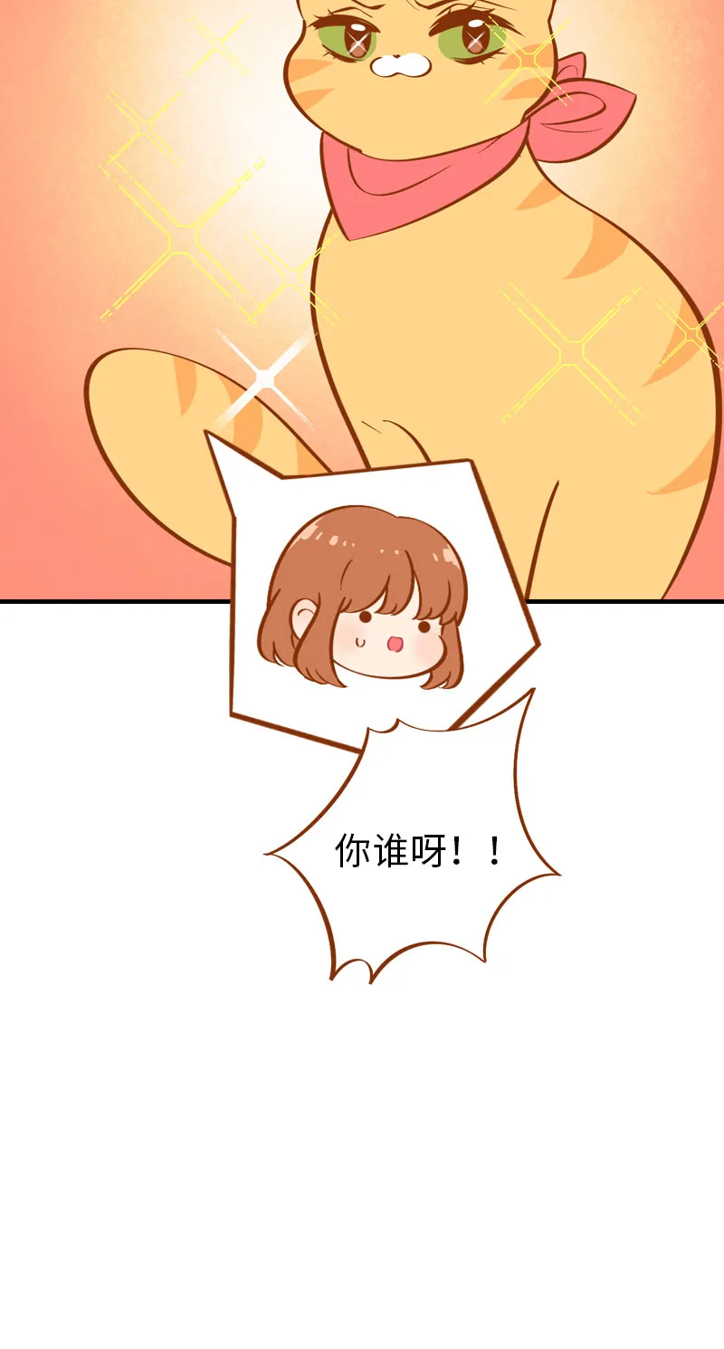 第6话 Tony橘开始洗头 第15页