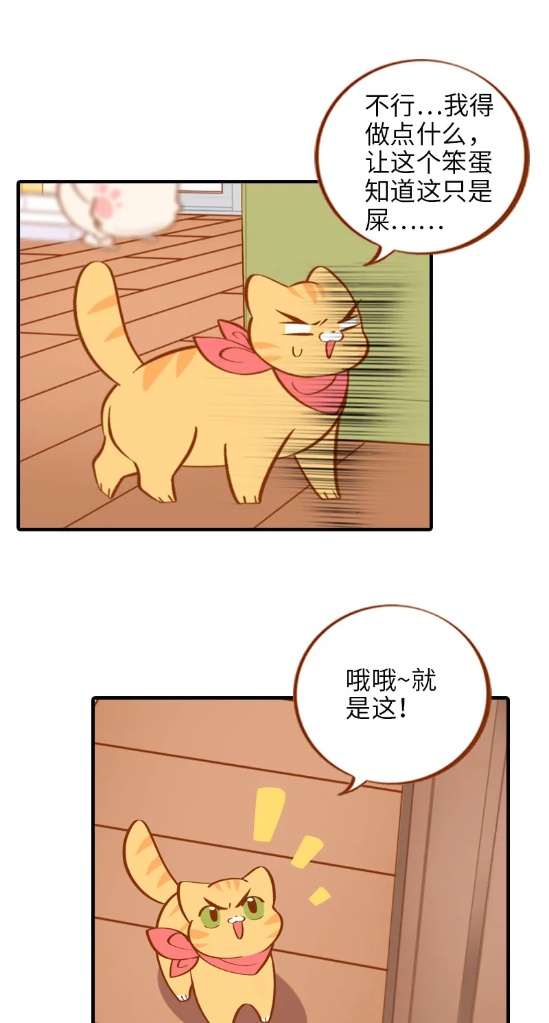 第8话 爱她就要为她学会用马桶 第8页