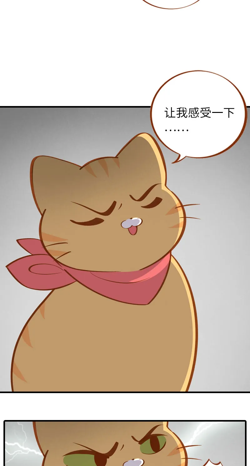 第10话 名侦探橘子 第3页