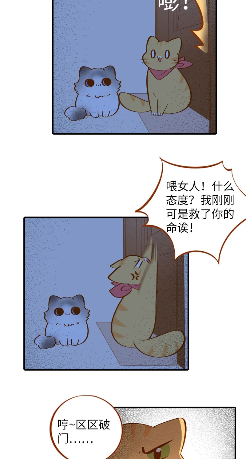 第11话 太好了你还活着！ 第6页