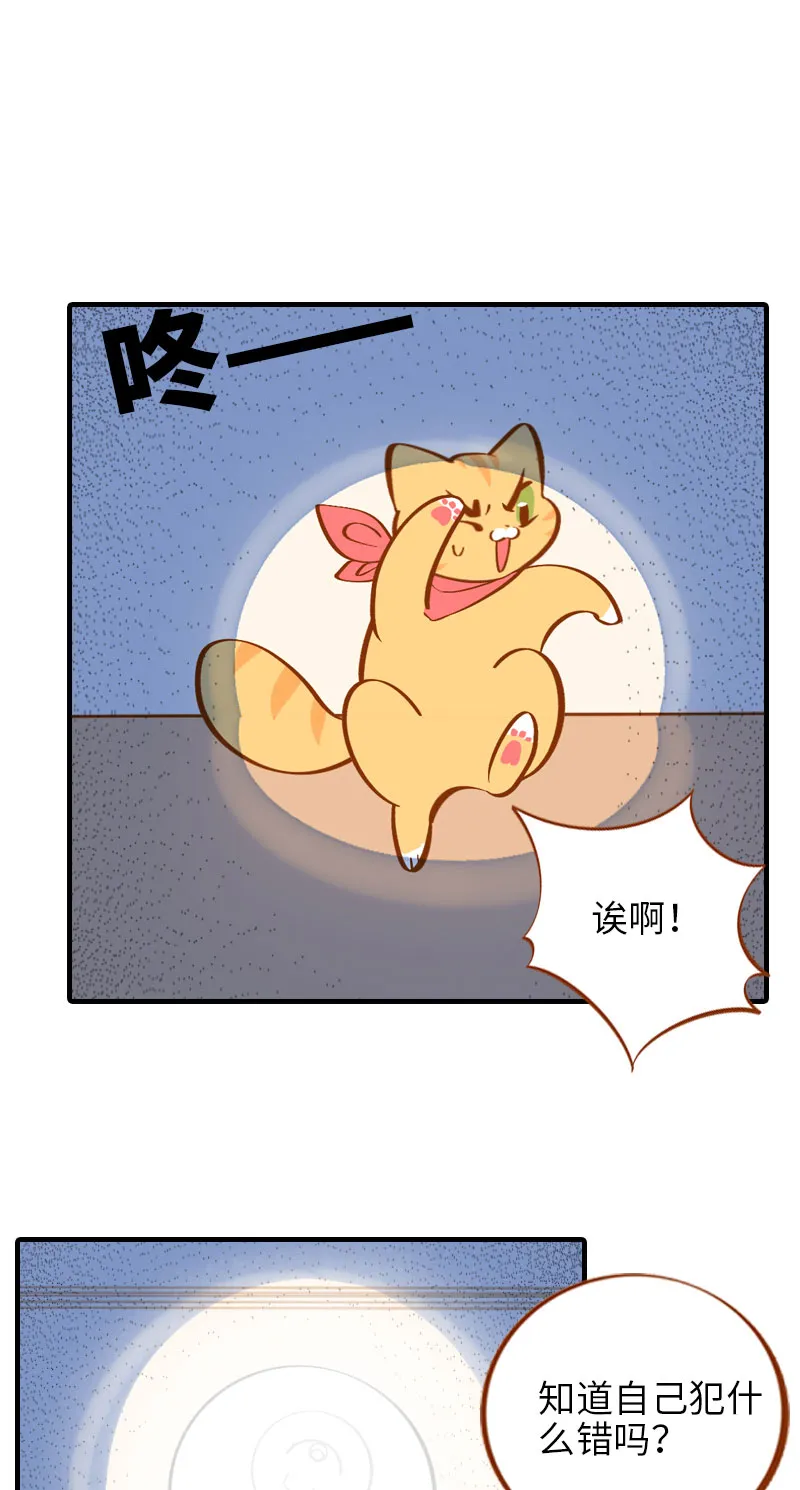 第12话 橘子低头 第2页