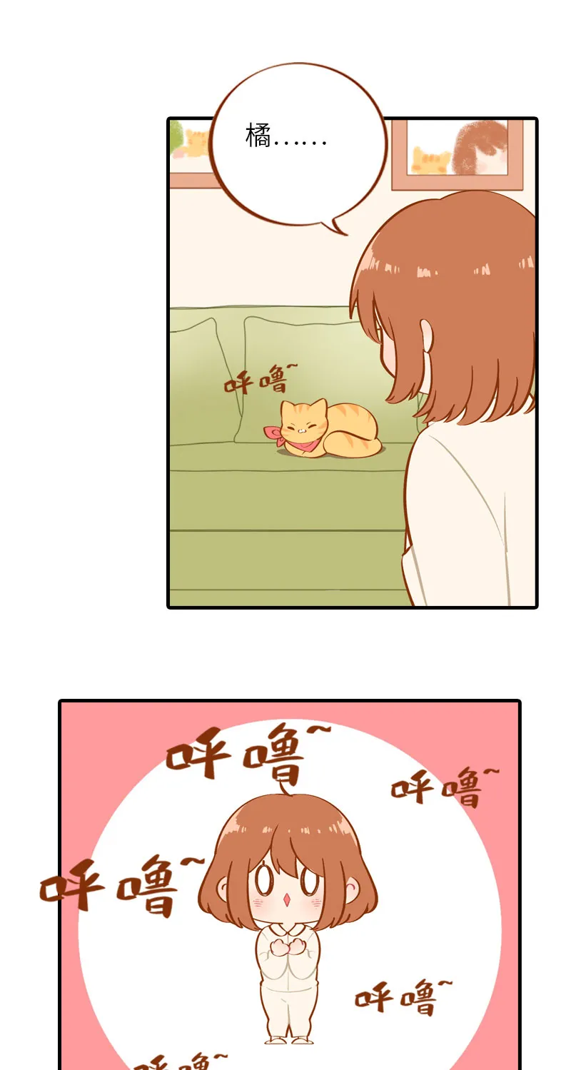 第13话 橘子呼噜呼噜 第2页