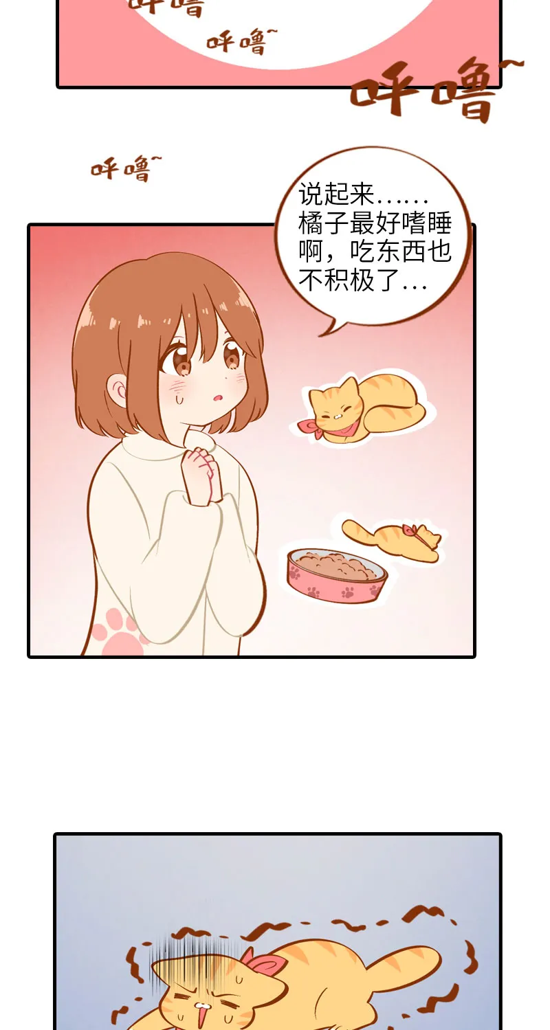第13话 橘子呼噜呼噜 第3页