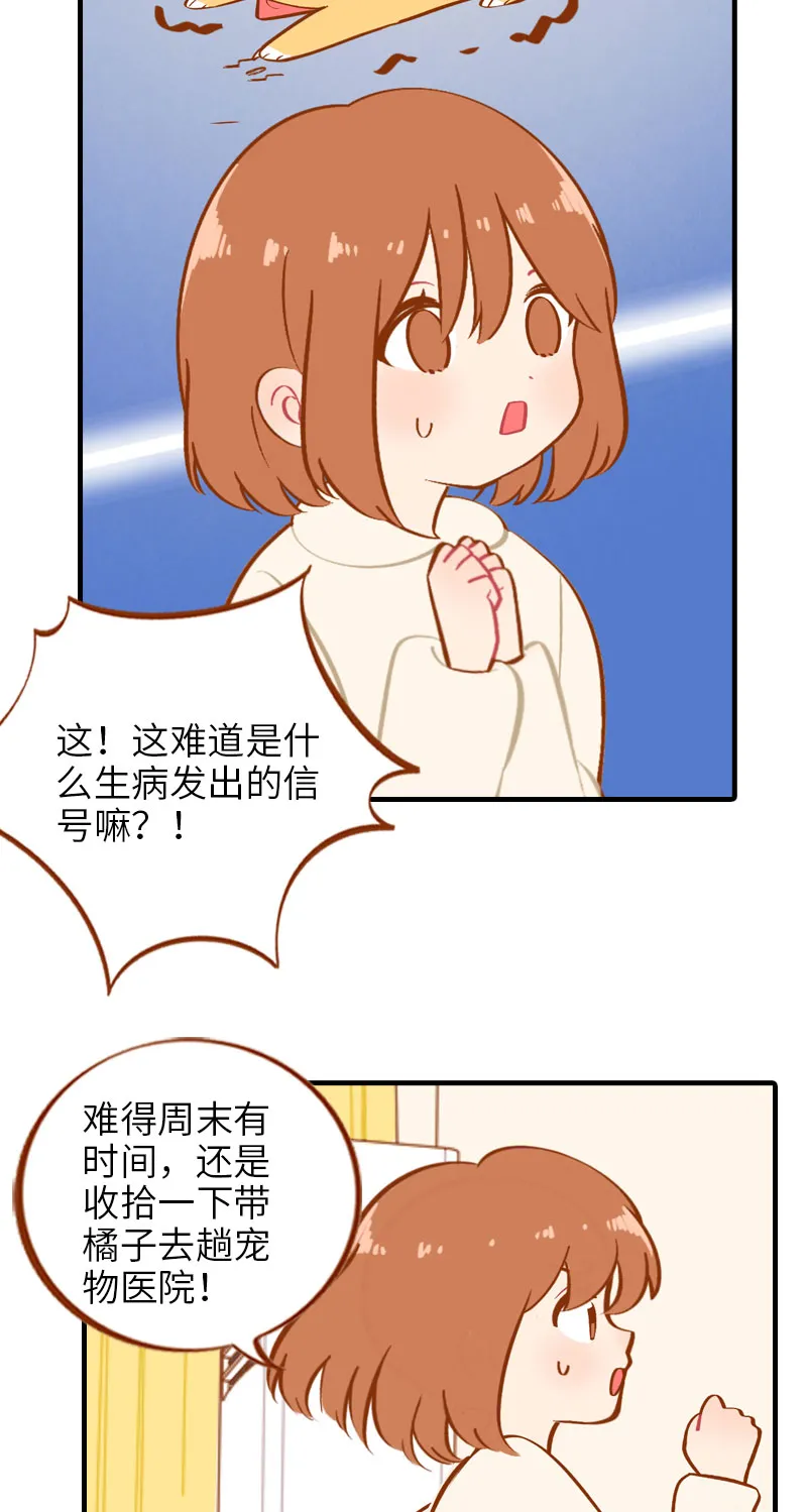 第13话 橘子呼噜呼噜 第4页